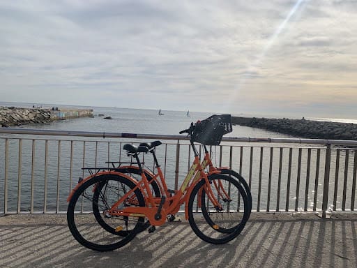 Photo from customer review