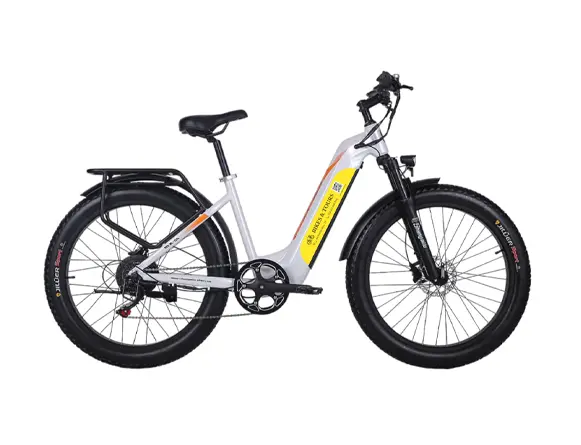 E-Bike